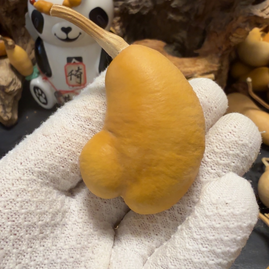 @***二666666666666667666