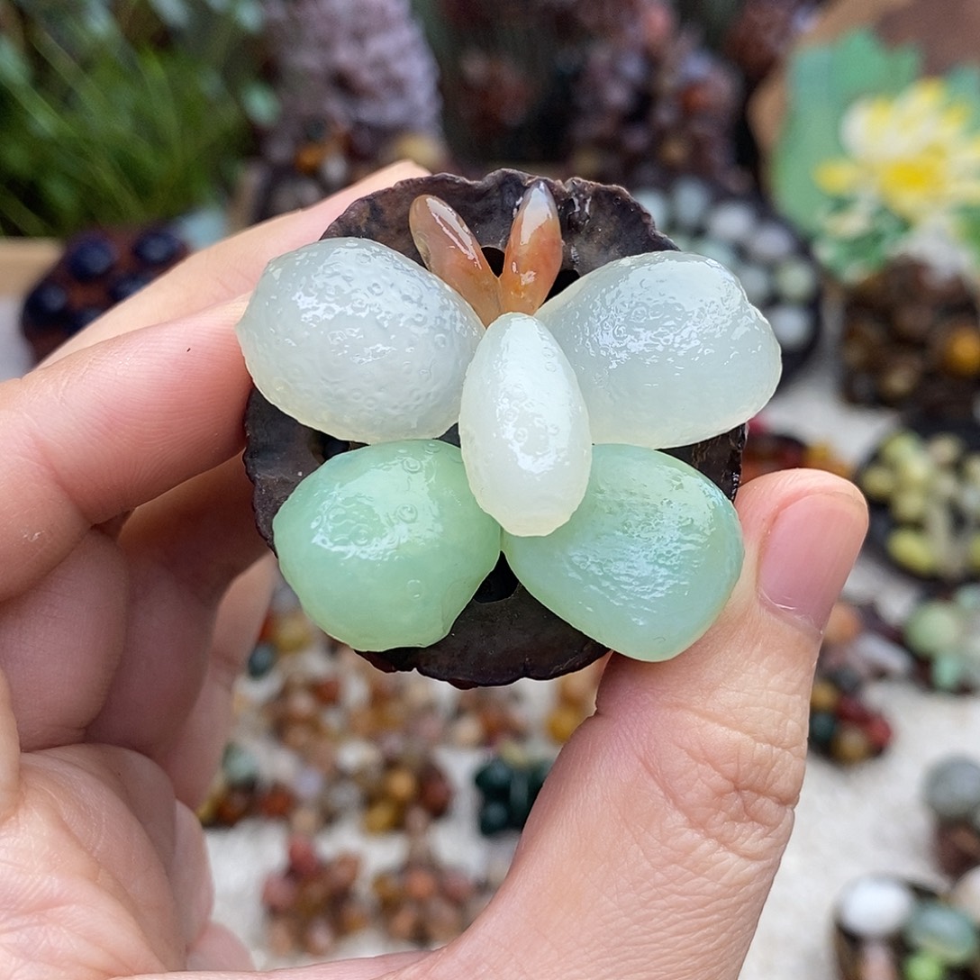 木石院子莲蓬蝴蝶