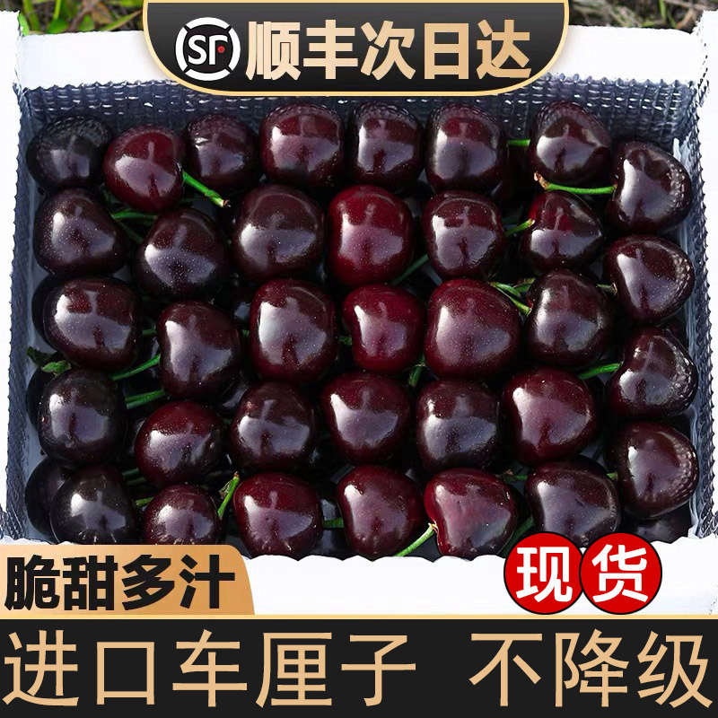 智利空运车厘子礼盒装 桑提娜3JD级升级吉制发货当季新鲜水果 WH净果800g（内附果径卡）桑提娜樱桃智利共和国