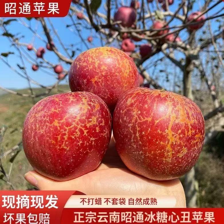 云南昭通丑苹果新鲜现摘高山高原冰糖脆甜高山高原应季水果整箱