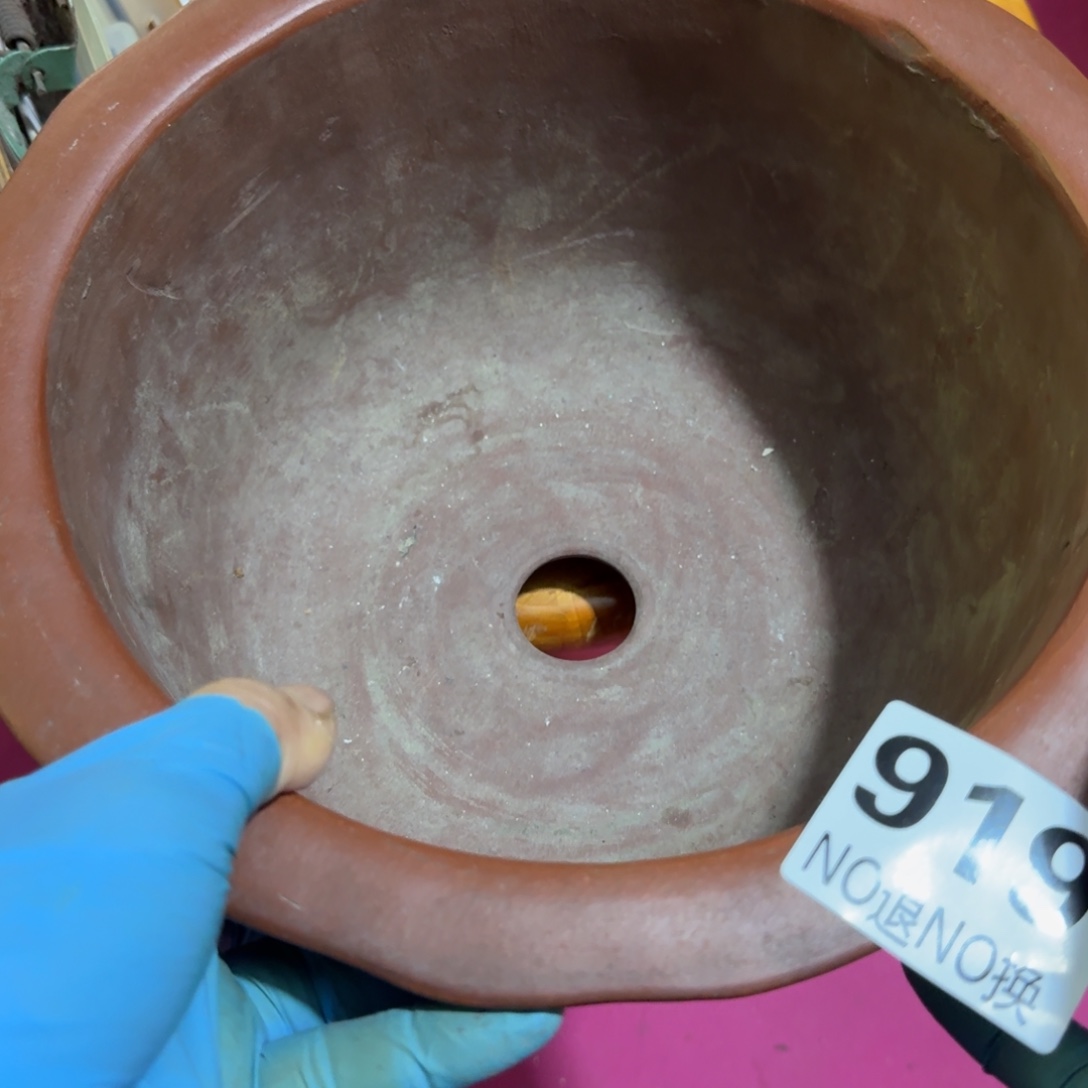 1***乐杂色豆（科檀/科特迪瓦檀木）