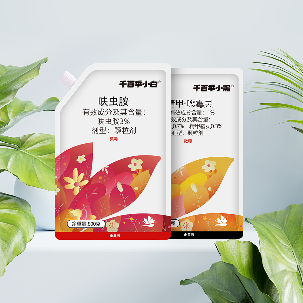 《直播》小黑小白大包装月季多肉植物通用