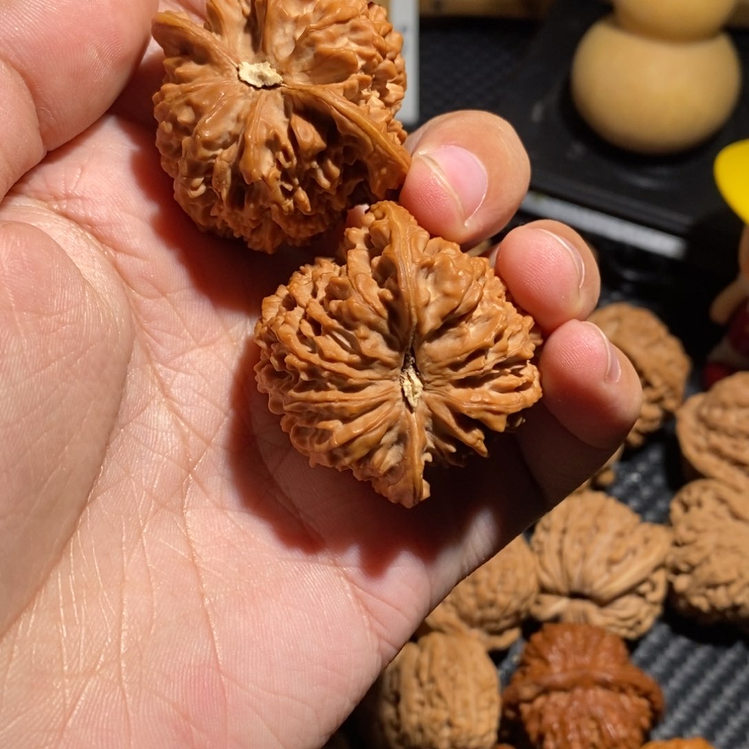 文玩核桃把件诸***！满天星