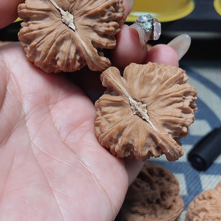 文玩核桃把件豆*白狮子41