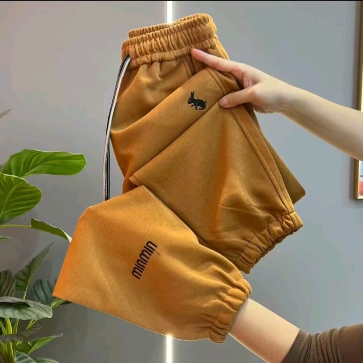 秋季哈伦裤时尚洋气刺绣高腰韩版百搭显瘦休闲裤宽松束脚裤通勤女