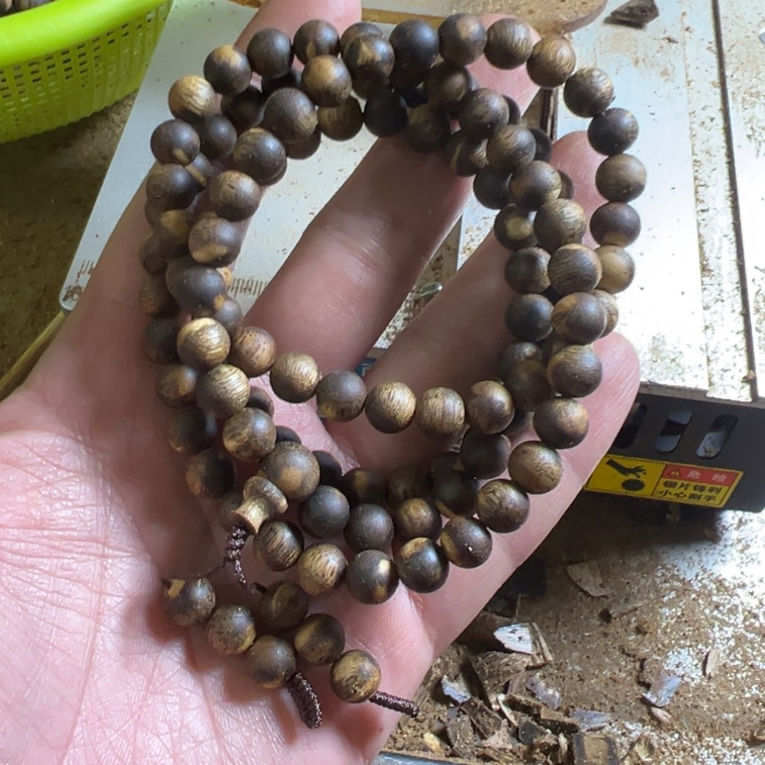 尹****高油脂海南产区莺歌绿品种卡8多圈