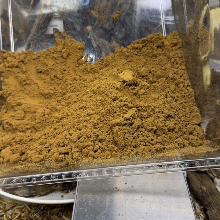 莱***米沉香虫漏粉20克装。