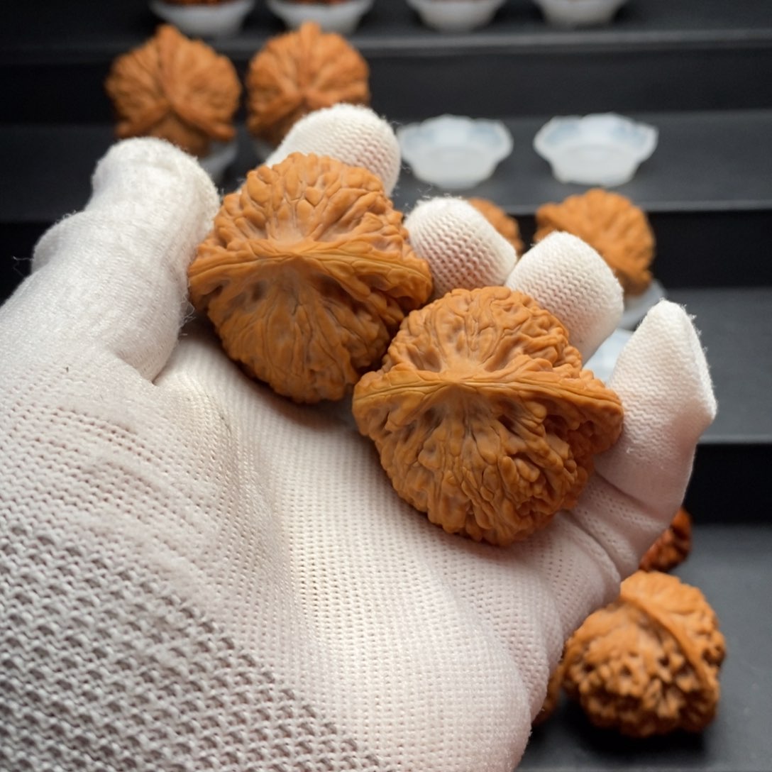 文玩核桃把件陈*?核为贵