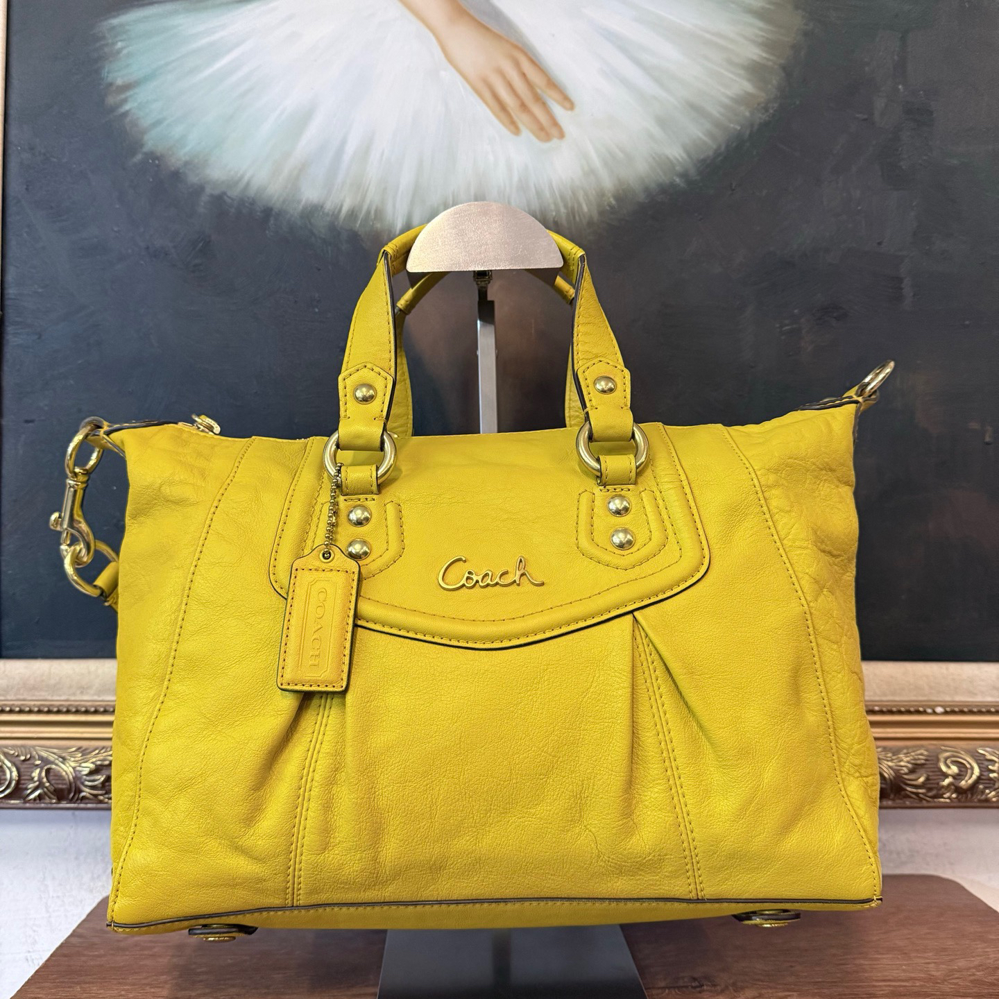 95新 COACH/蔻驰 coach蔻驰单肩包/003535/尺寸30*23