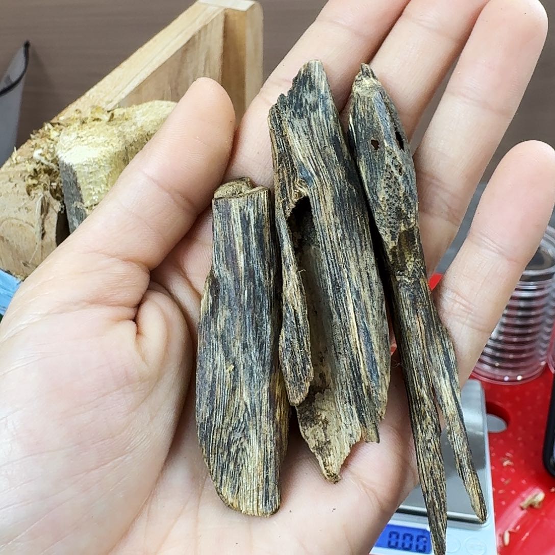 香料绿奇楠虫漏白棋10克