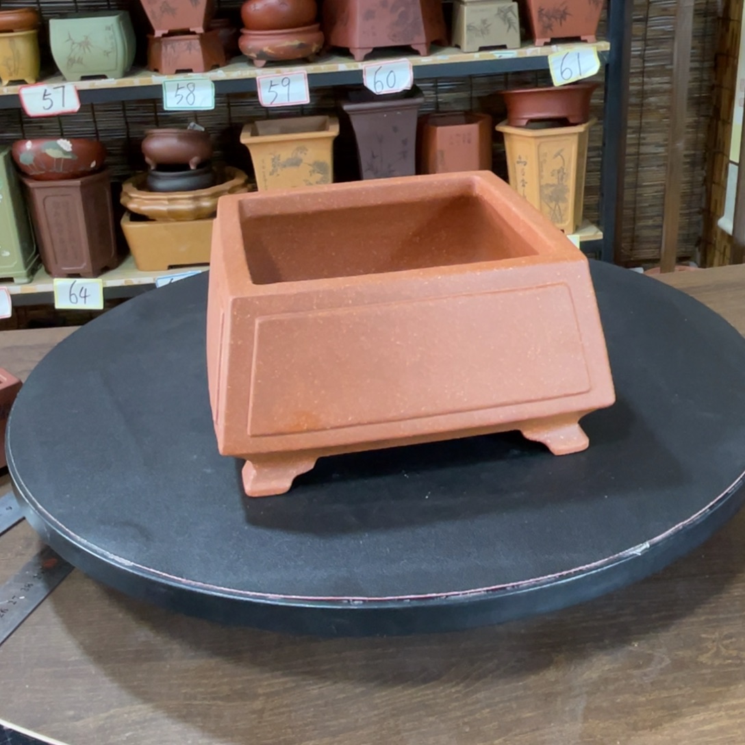 不***火花盆紫砂我不敢给