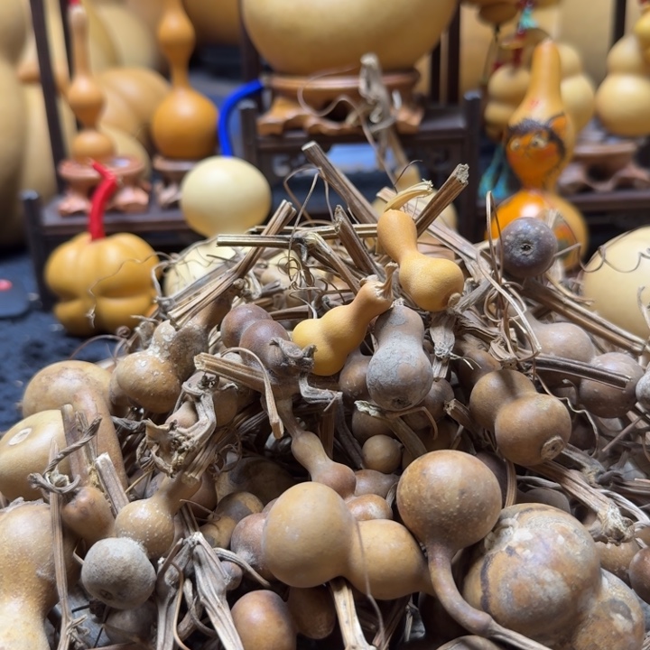 ^****一组小八宝嘎嘎漂亮