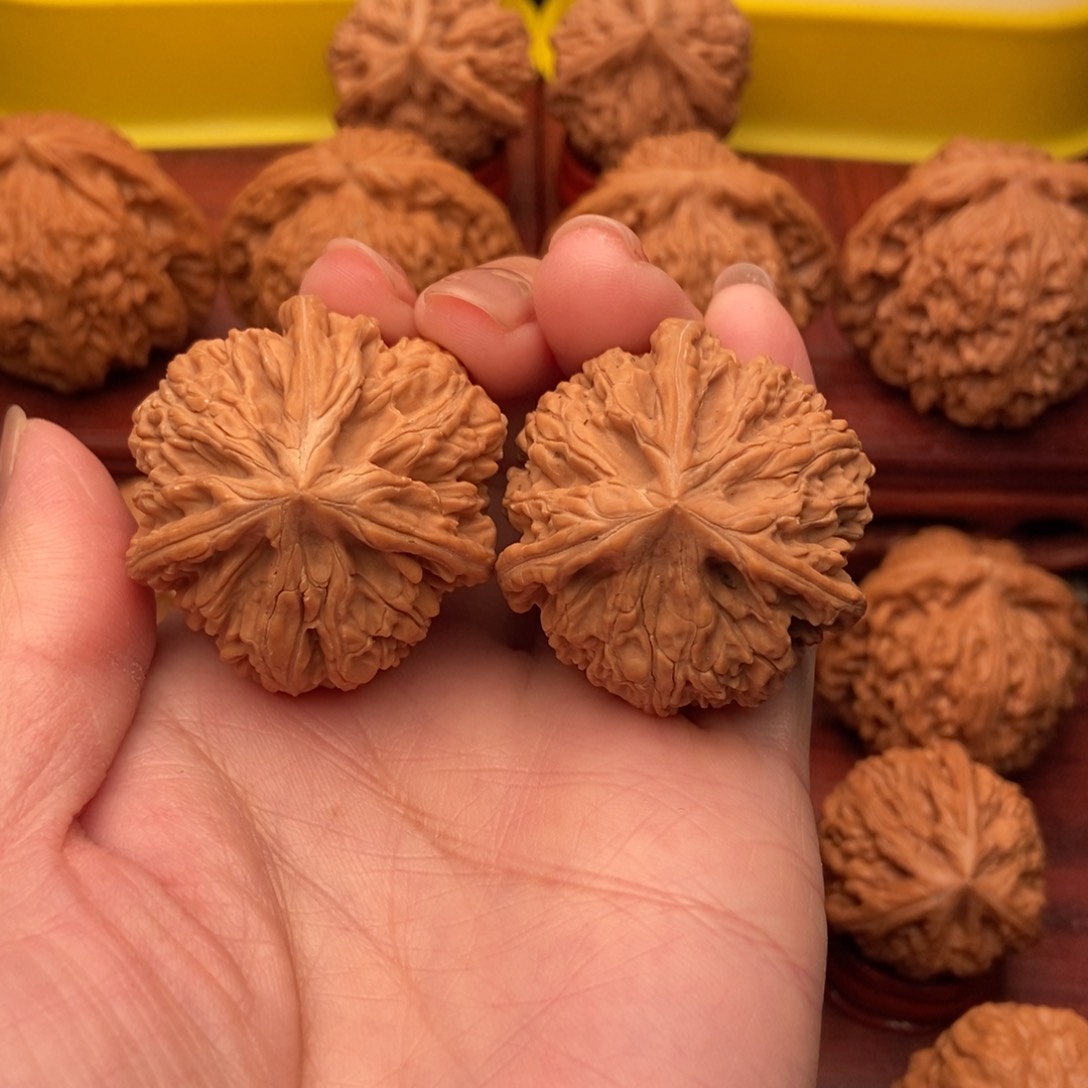 桃核把件御龙粗筋毕业三棱38