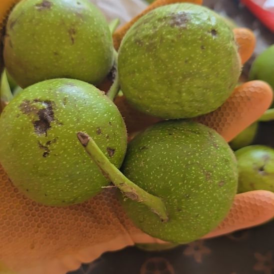 核桃盘山三棱青皮不退不换定制款