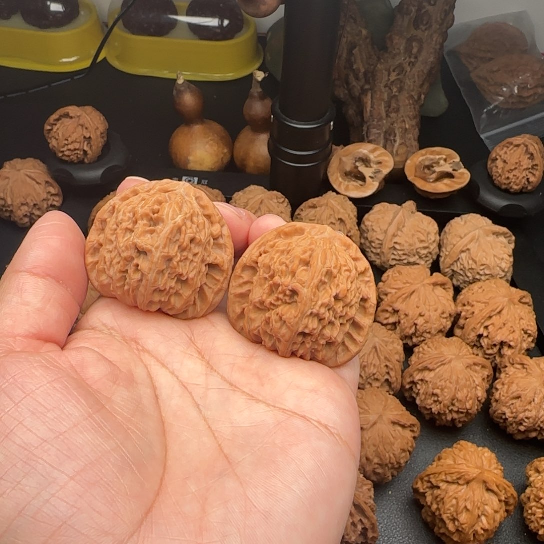 40尺全品无修白狮子