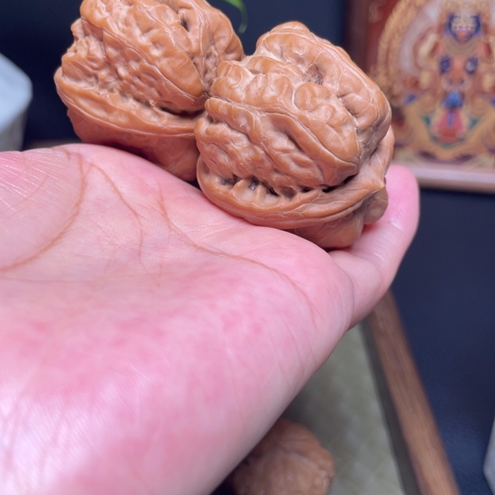 蛤蟆头  全品无修