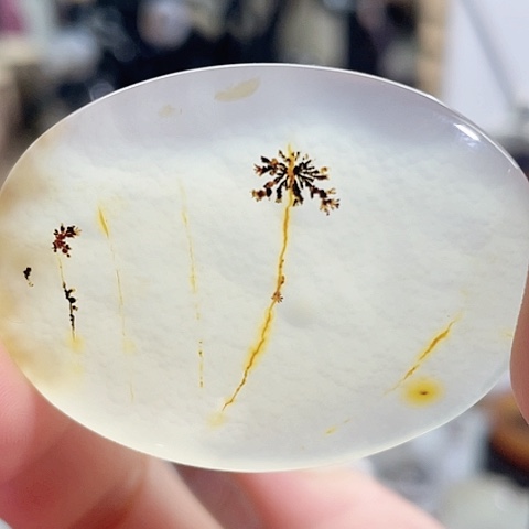 玛瑙/玉髓珠宝奇石未镶嵌