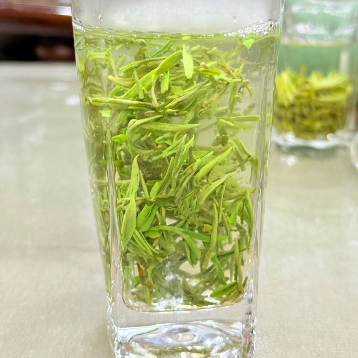新茶9号紫阳翠芽明前茶紫阳毛尖嫩芽回甘兰花香口感鲜爽茶香四溢