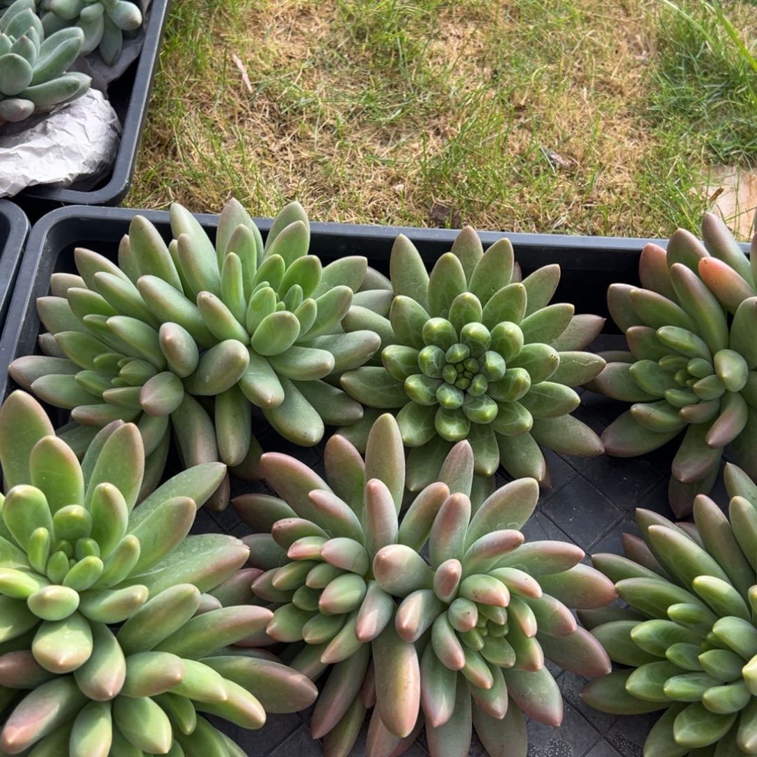 12111111111111111111111