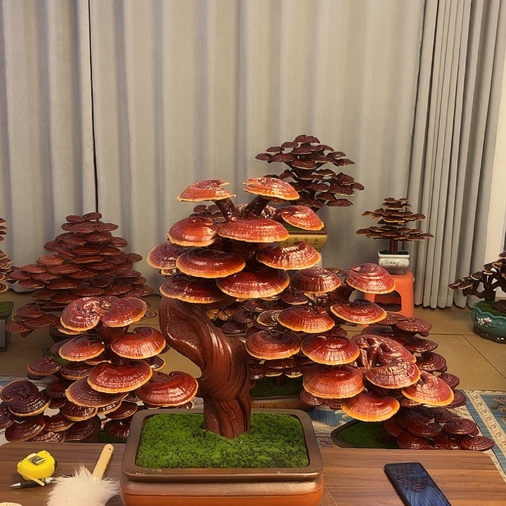 灵芝盆景8888888888888888