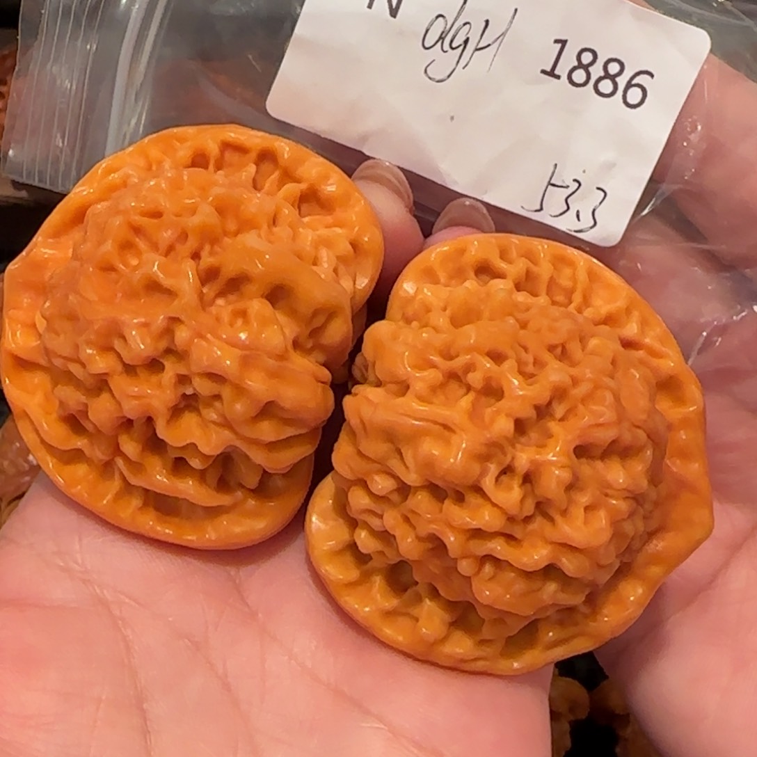 桃核把件皮*蛇官帽52精品1886