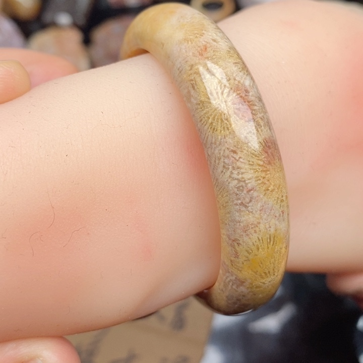 硅化珊瑚（珊瑚玉）手镯未镶嵌50