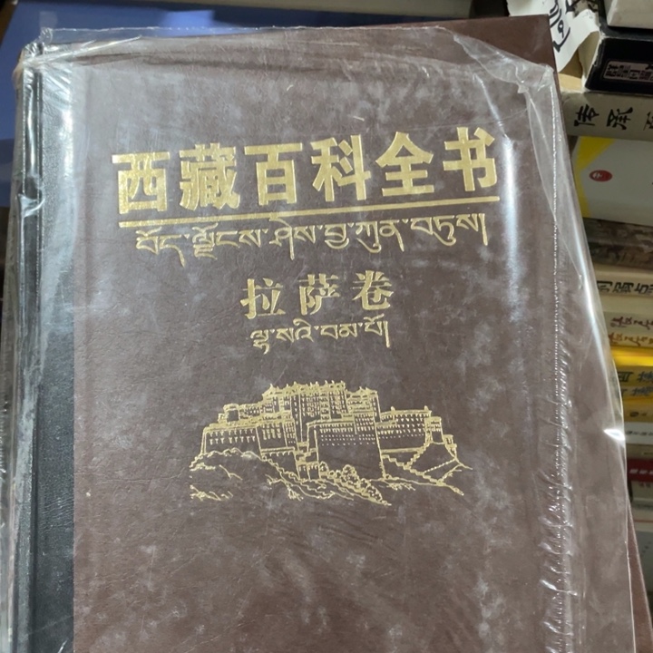 西藏百科全球精装拉萨卷