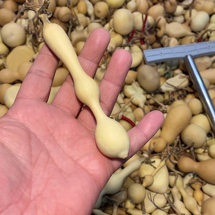 奇*果精品葫芦手把葫芦18