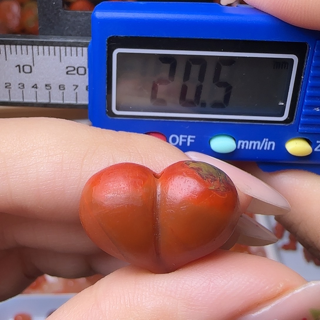 南红玛瑙未镶嵌颈饰