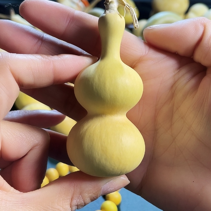 谨***行大叶紫檀（黑酸枝木类）