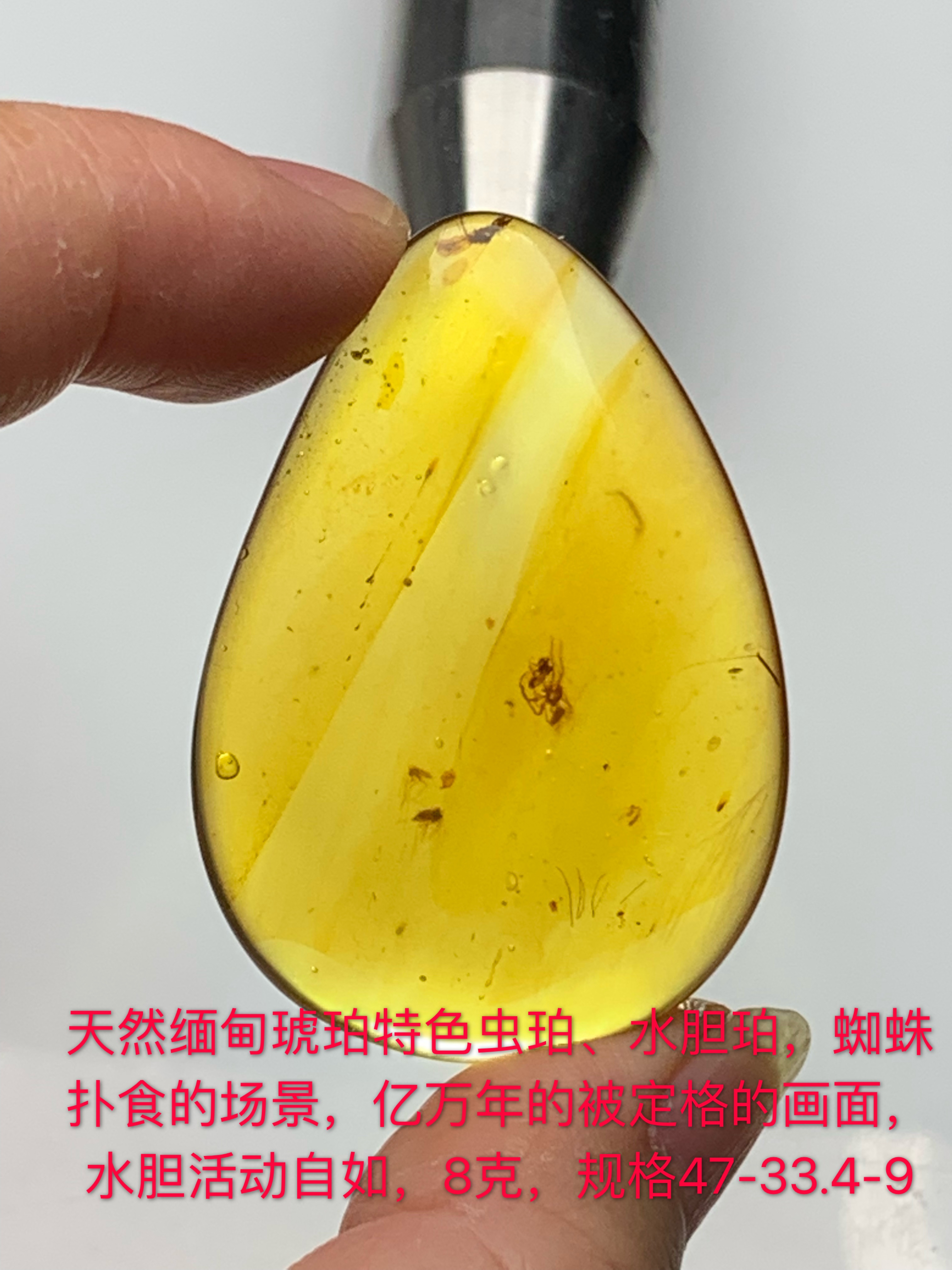 天然缅甸琥珀特色虫子水胆吊坠8克