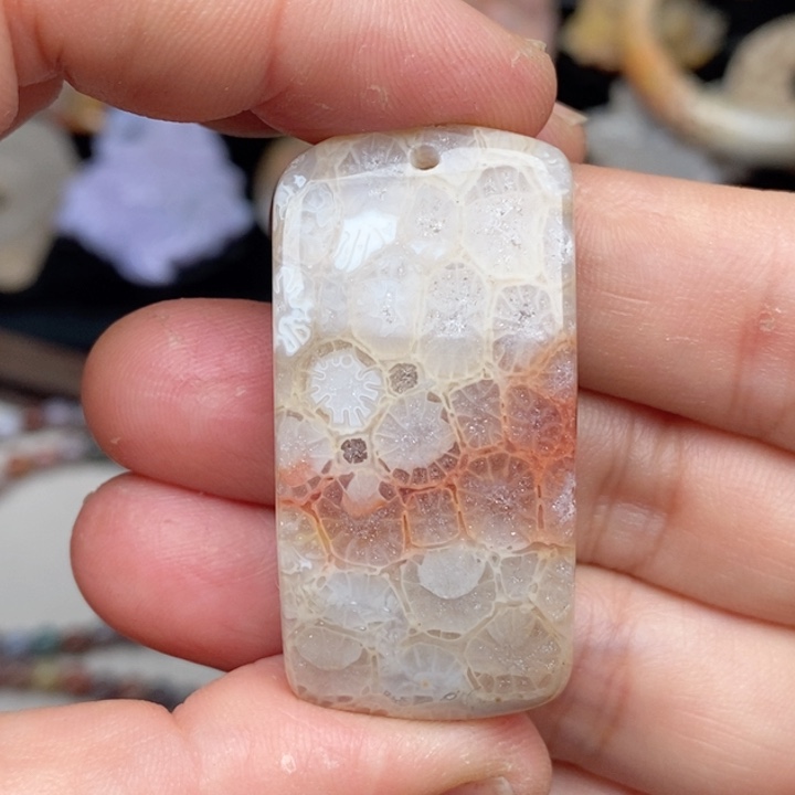 硅化珊瑚（珊瑚玉）颈饰未镶嵌