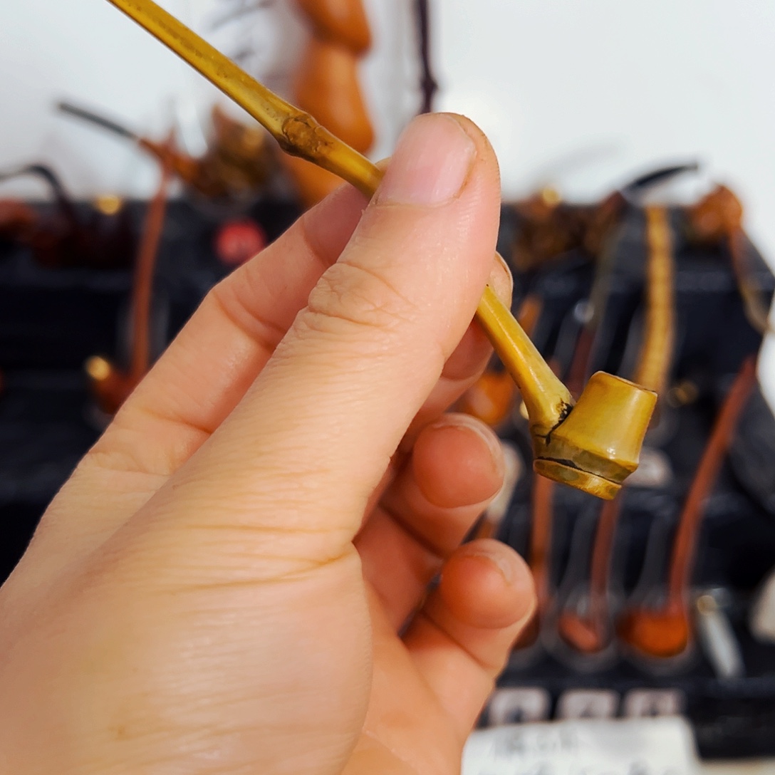 香榧木我的评分很好看呢