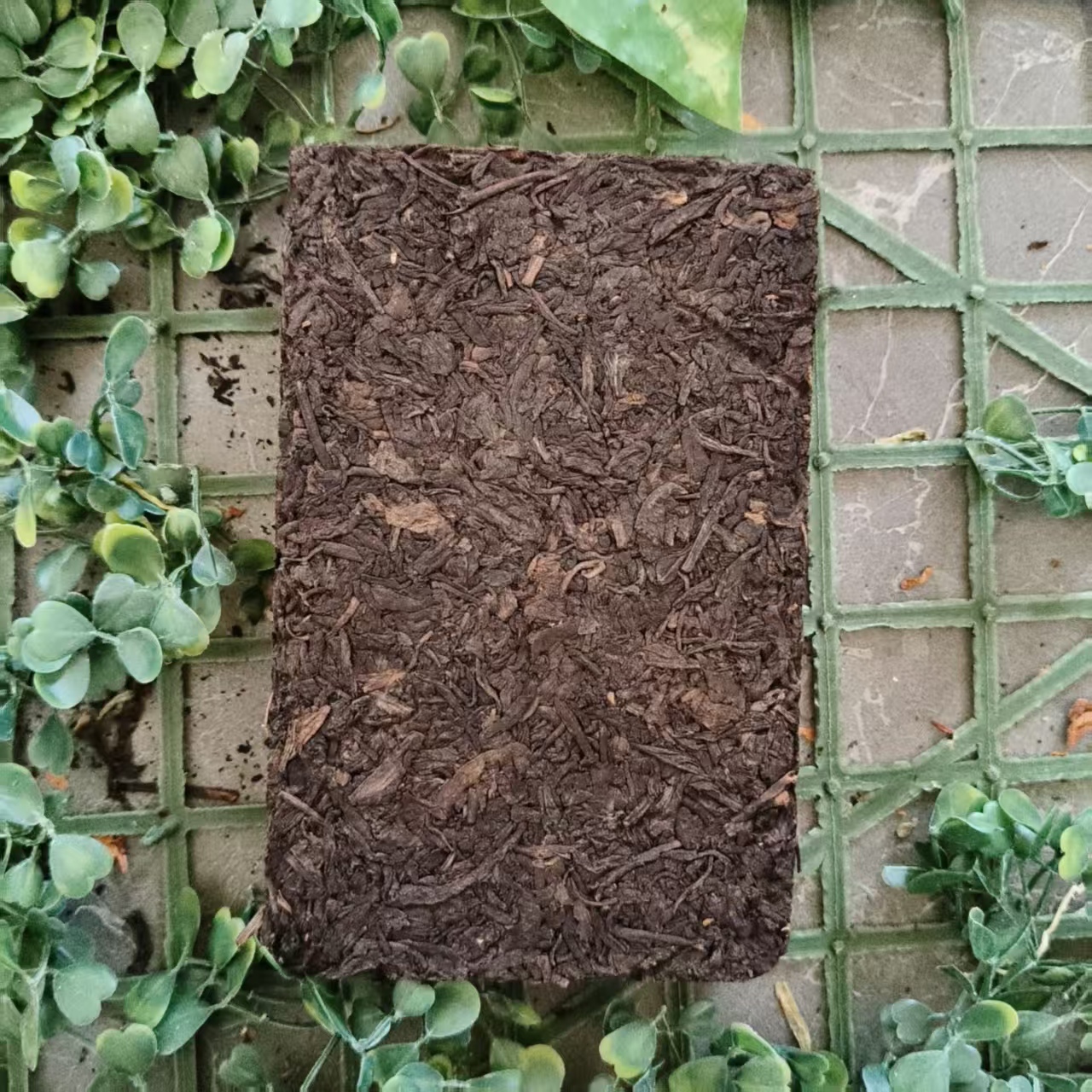 雨腾古茶 电线G“GD”X亲Y 老六B268g/砖（12月24）