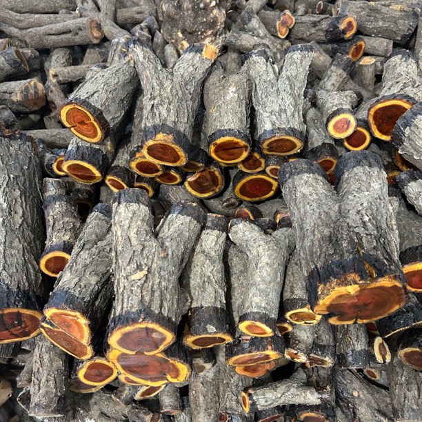 木之森精品火琉璃麻璃原木料