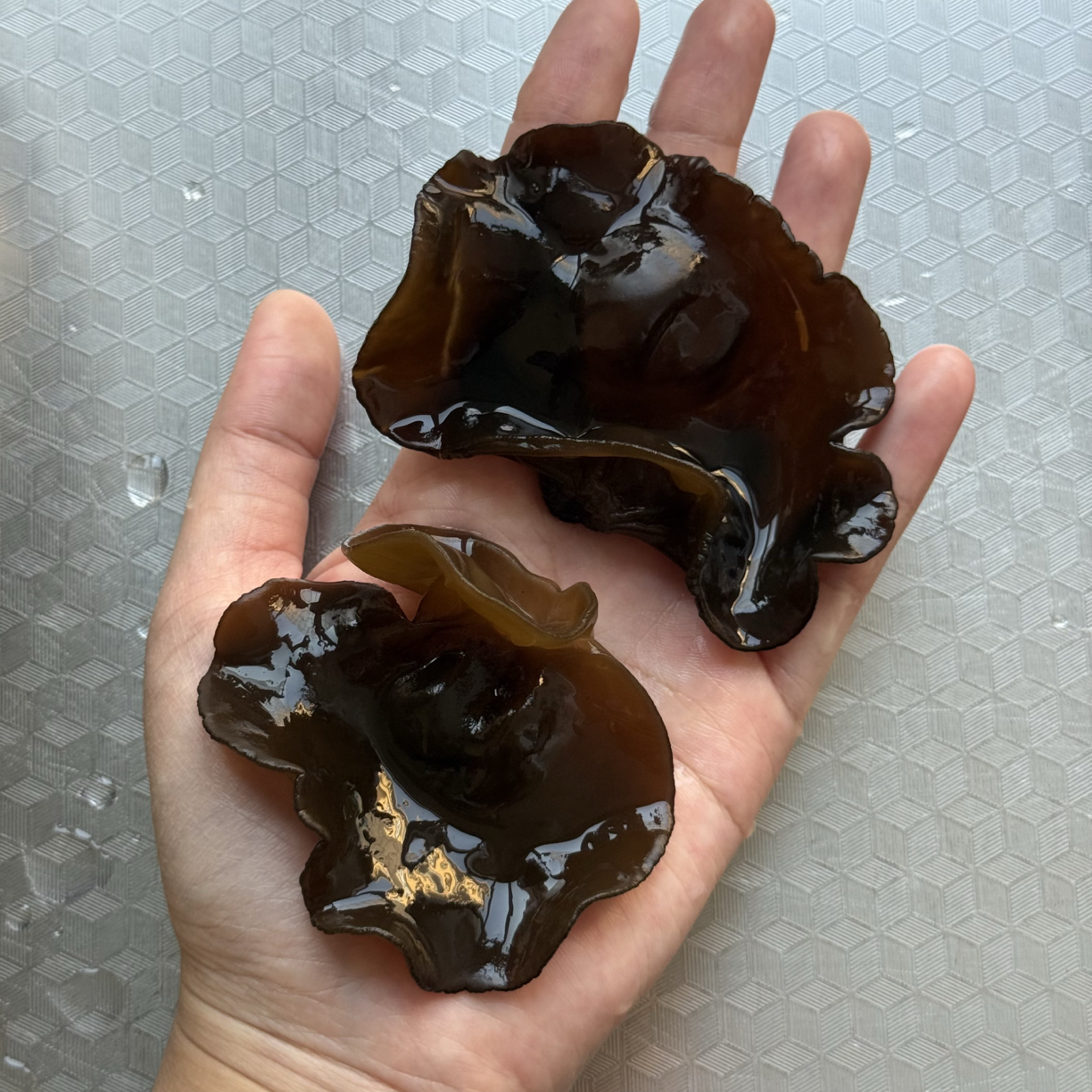 2025年（大朵）秋木耳自家种植东北东宁黑木耳新干货肉厚无根