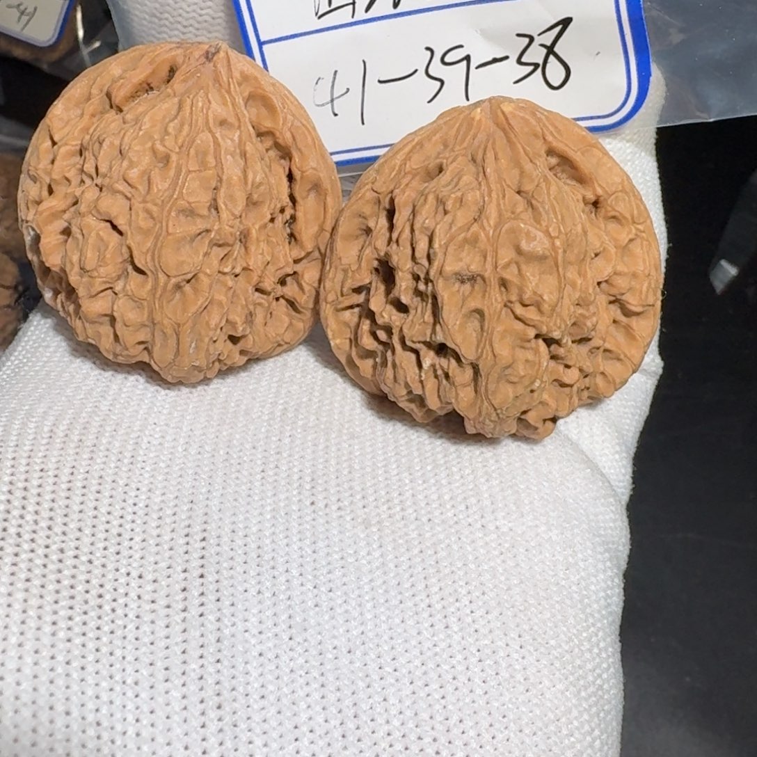 文玩核桃把件38号村将h