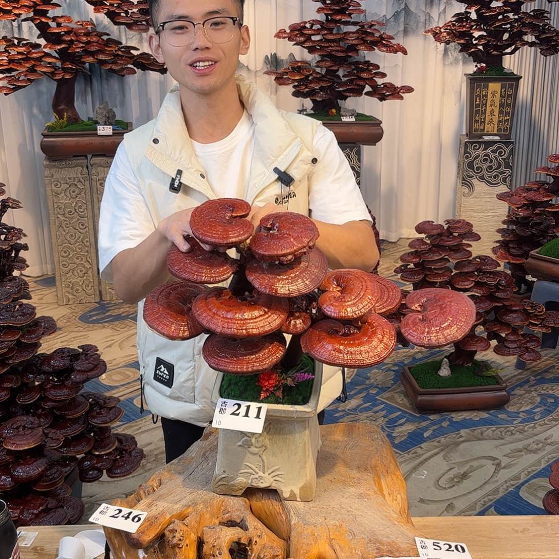 无花朵88888888888888