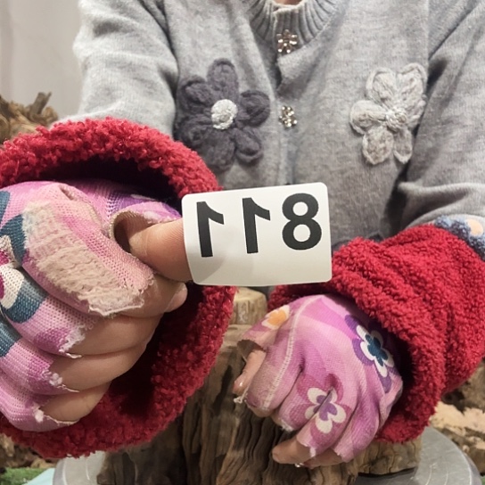 来***，我也不知道我为什么要这样做