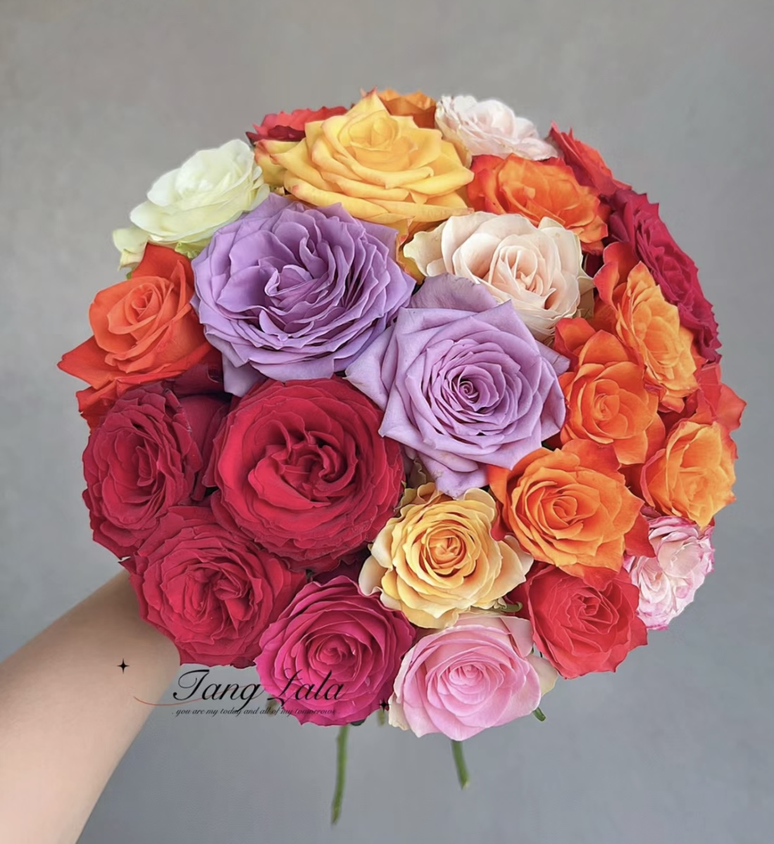 氧花季 彩拼玫瑰18支+2支防损 一单包邮 两单升级快递