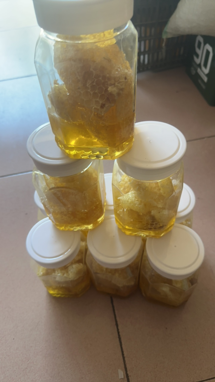 跑山的天一正宗深山蜂巢蜜