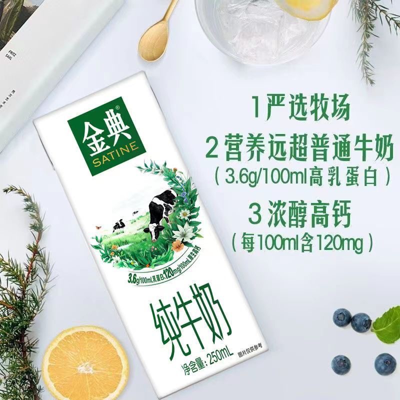 【7月产喝到1月】伊利金典纯牛奶250ml*12盒散盒装早餐奶   京东次日达
