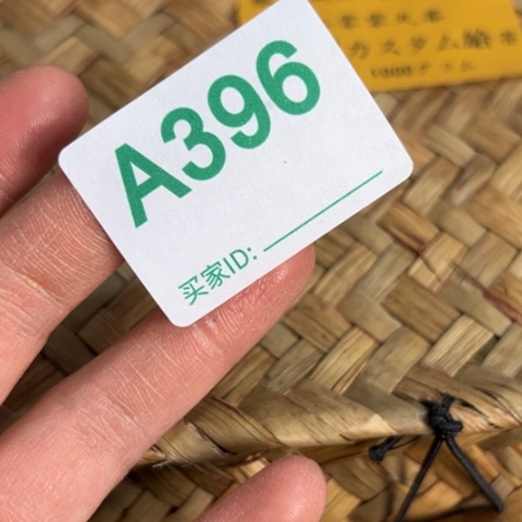 东***海哈啊哈哈6666666666