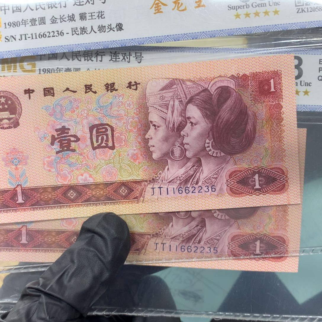 金龙王一张一张一张一张一张一张