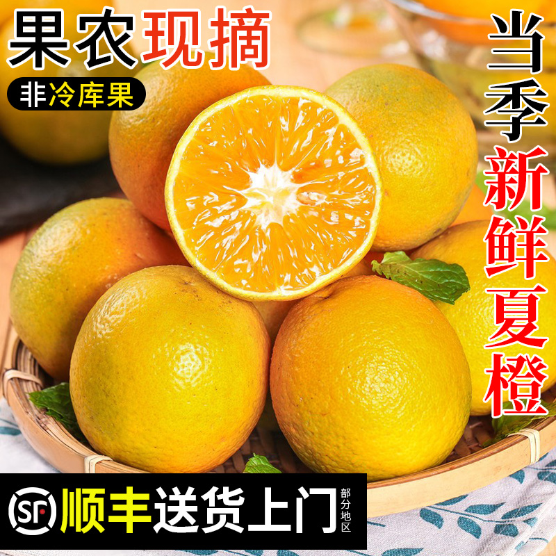 秭归夏橙新鲜水果湖北产地直发当季时令手剥橙榨汁专用农家自种