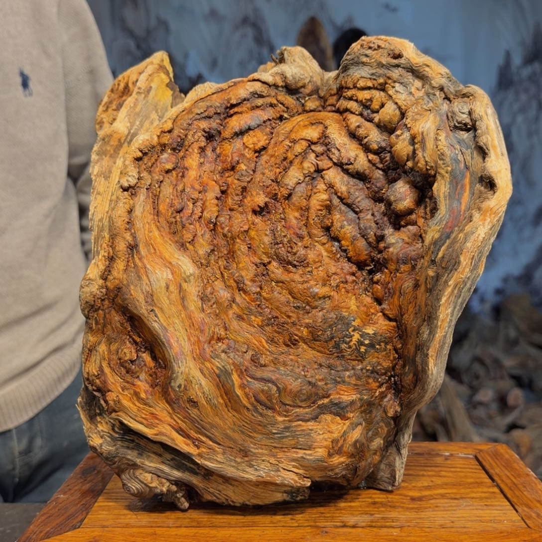＊***＊木三丰琥珀木 天然摆件60