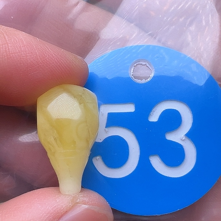 蜜蜡裸石未镶嵌花粉11.4m m