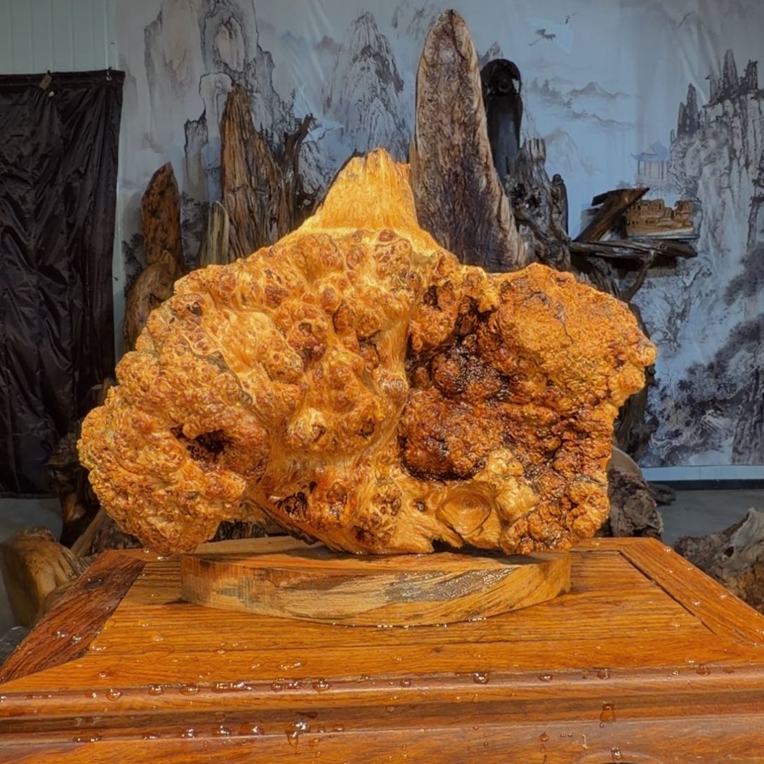 风***雨木三丰琥珀木 天然摆件21