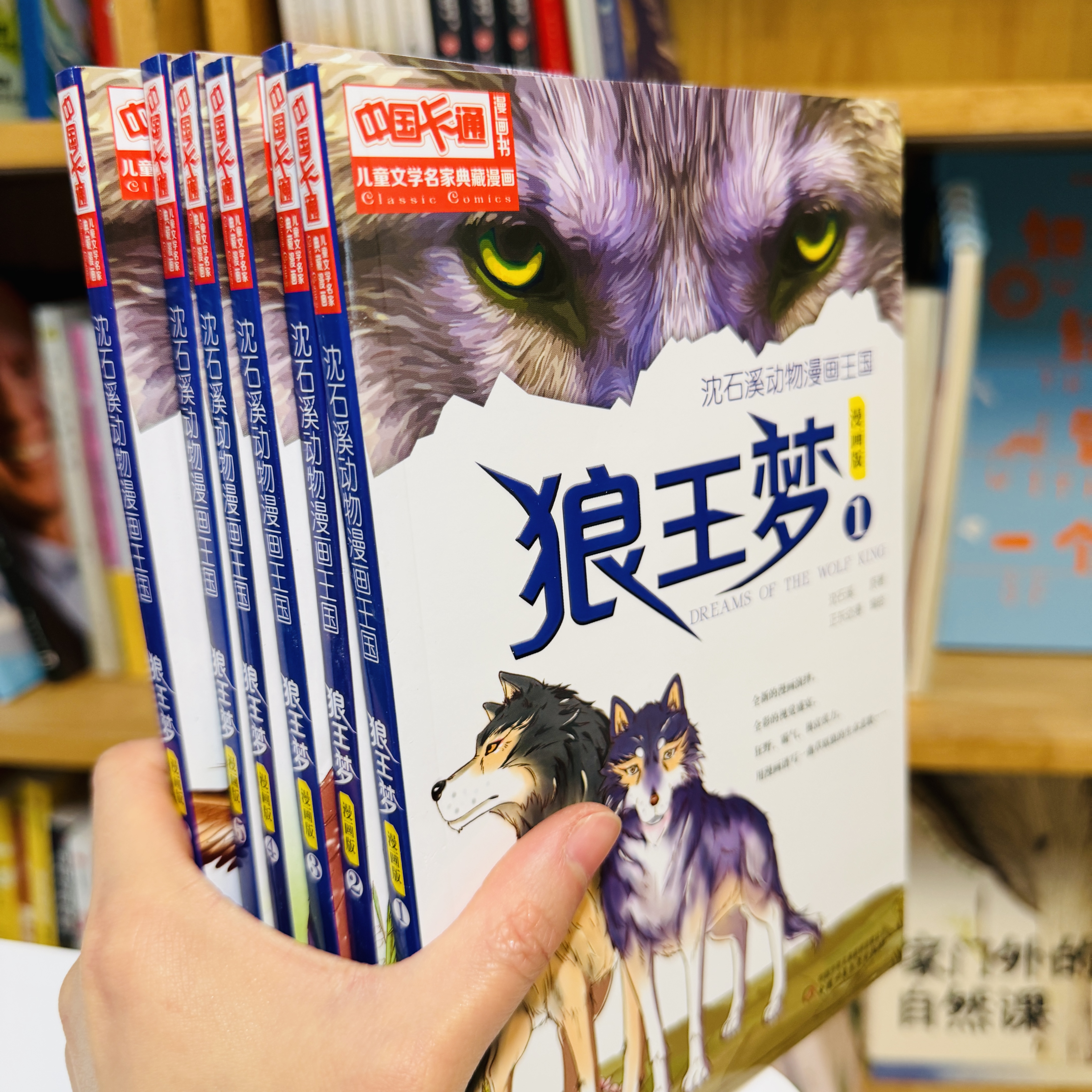 【6-12岁】狼王梦漫画收藏版（全6册）