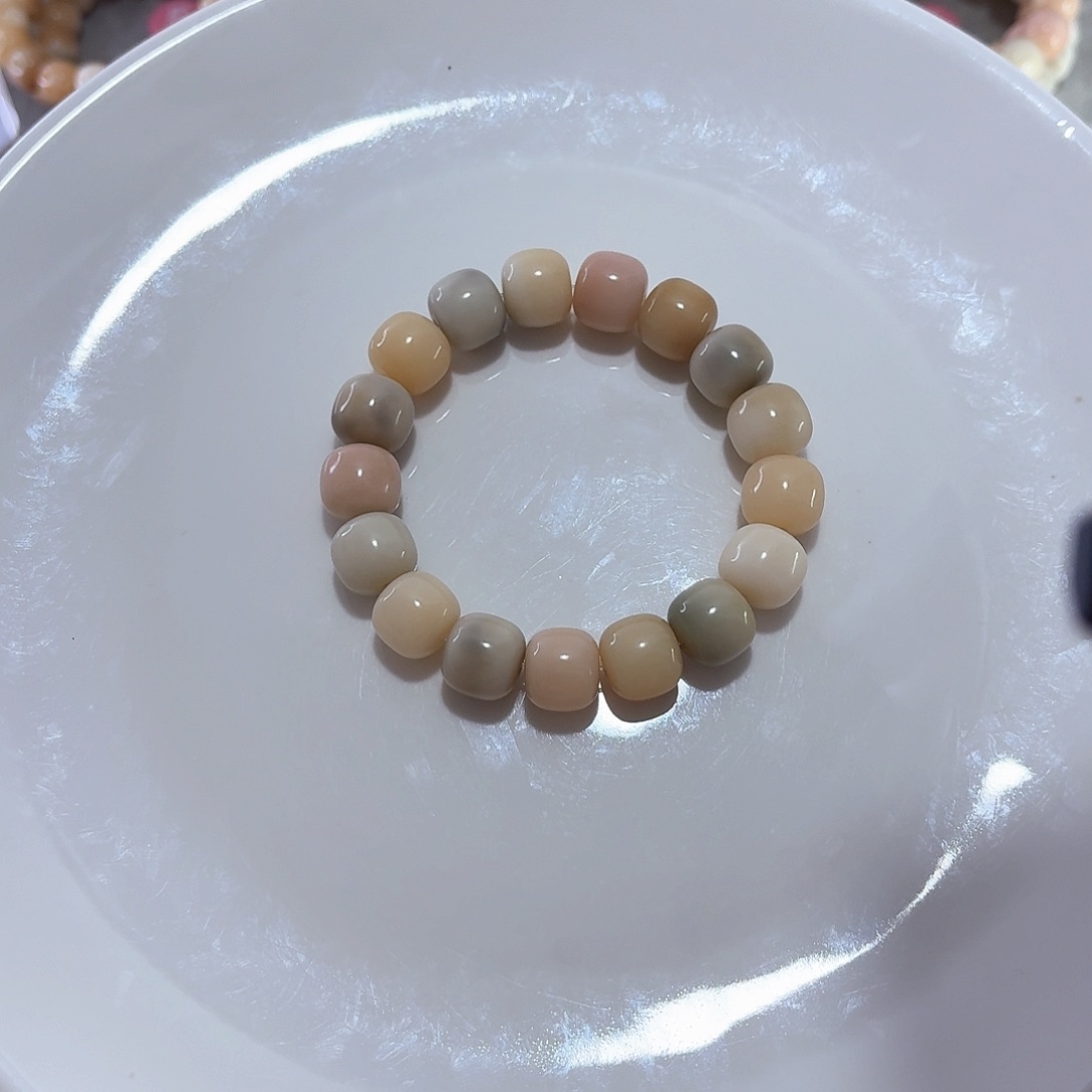 菩提根/象牙果手串辛*